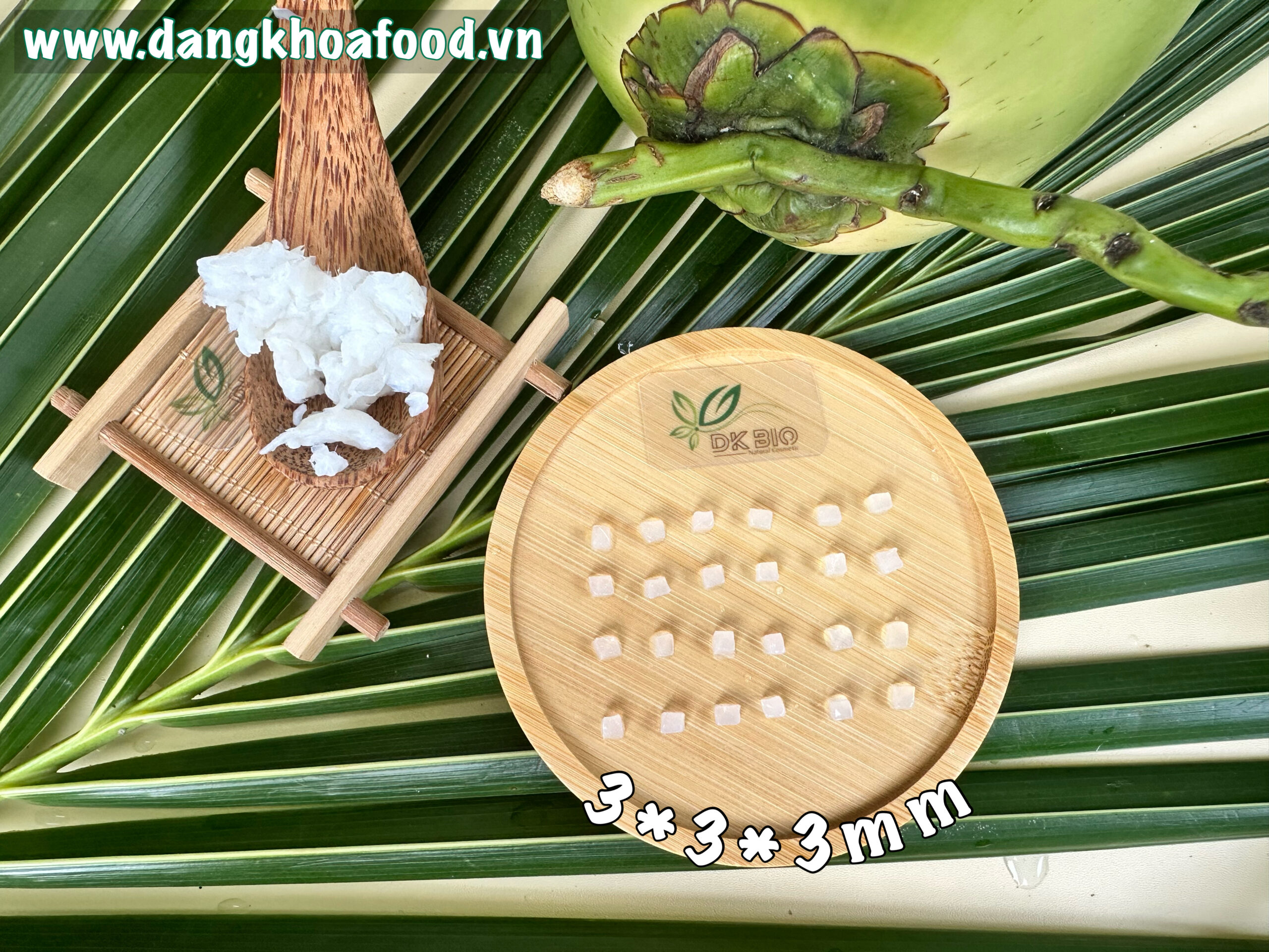 THACH DUA CAT VIEN 3MM 2