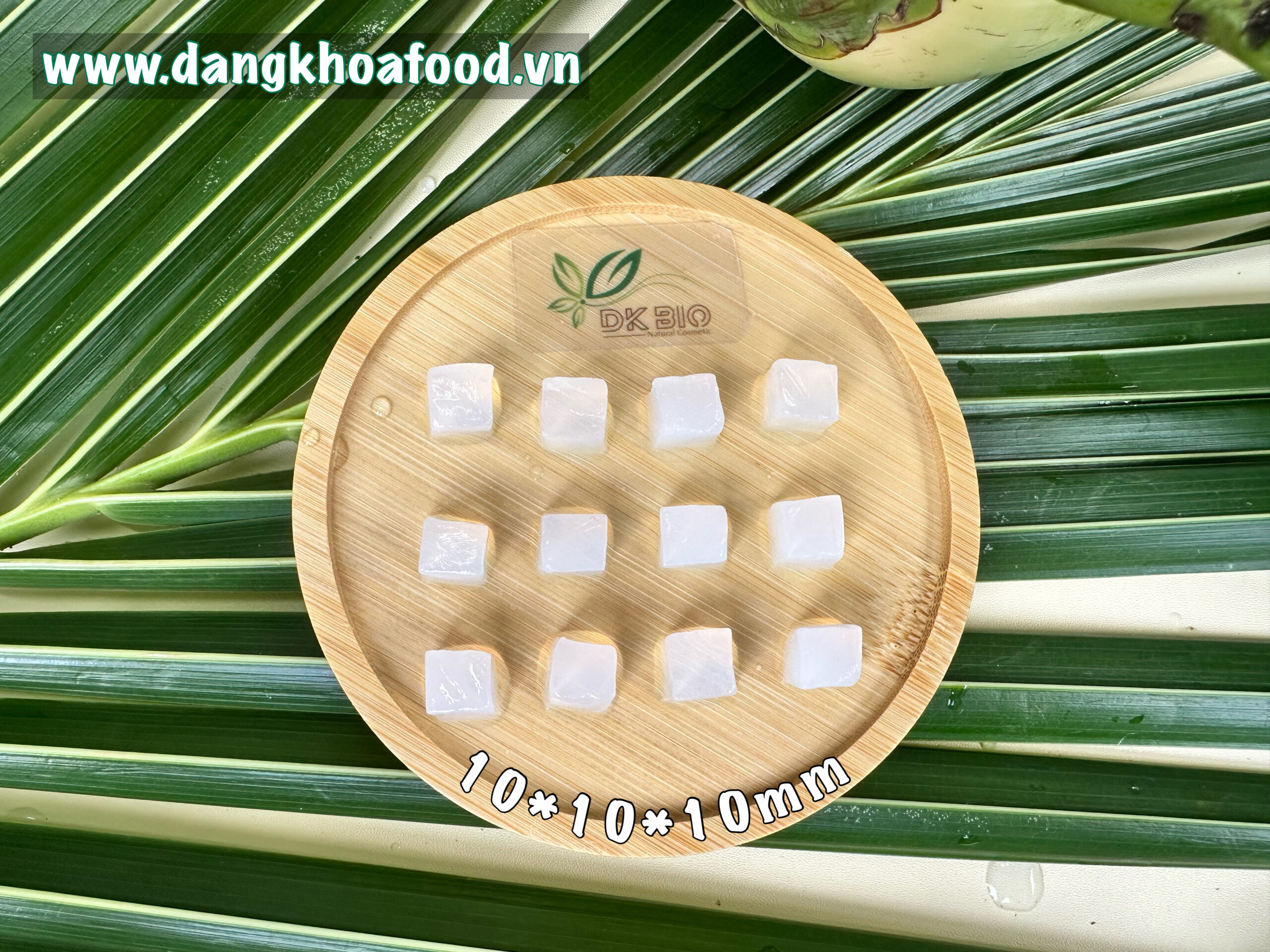 thach dua cat vien 10 5