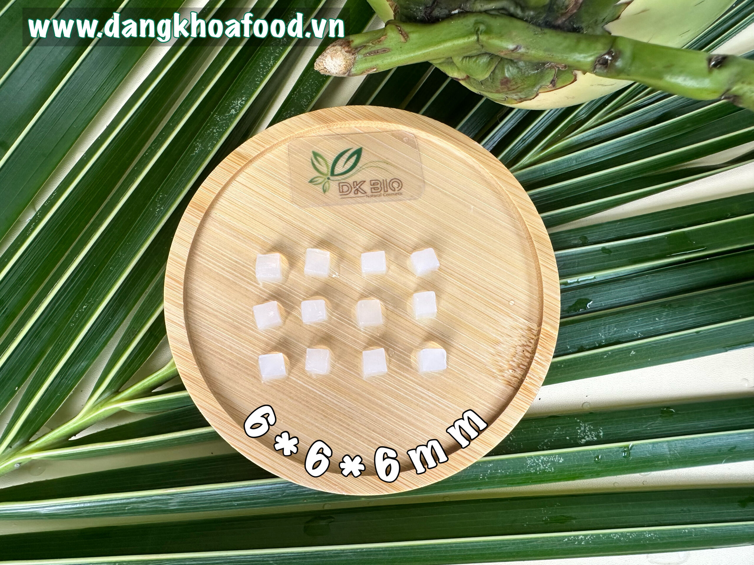 thach dua cat vien 6mm 2